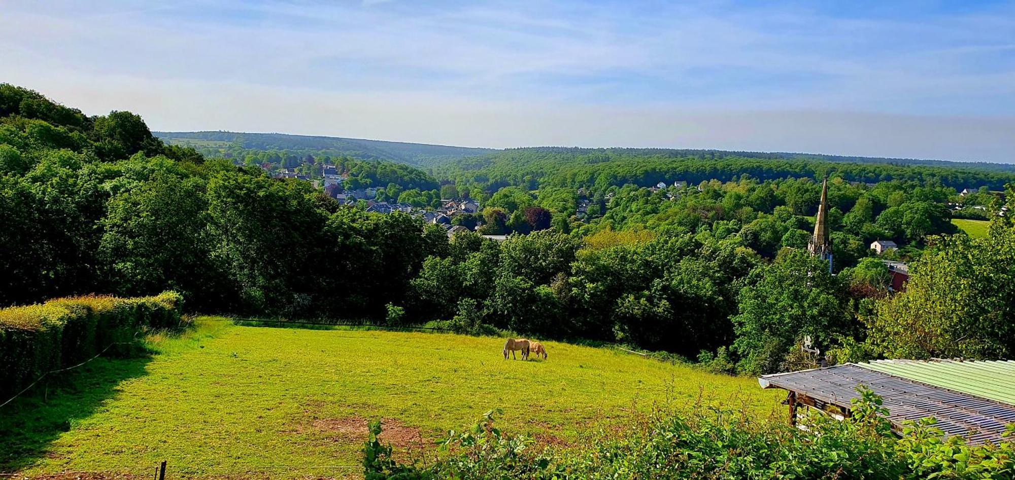 Gîte Kaleo Eupen Jugendherberge Exterior foto